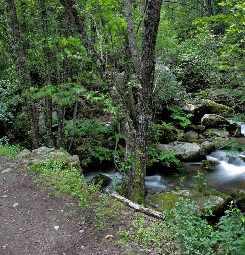 Sculpture « Chemin de l'eau » dans le parc naturel Las Batuecas-Sierra de Francia. Salamanque