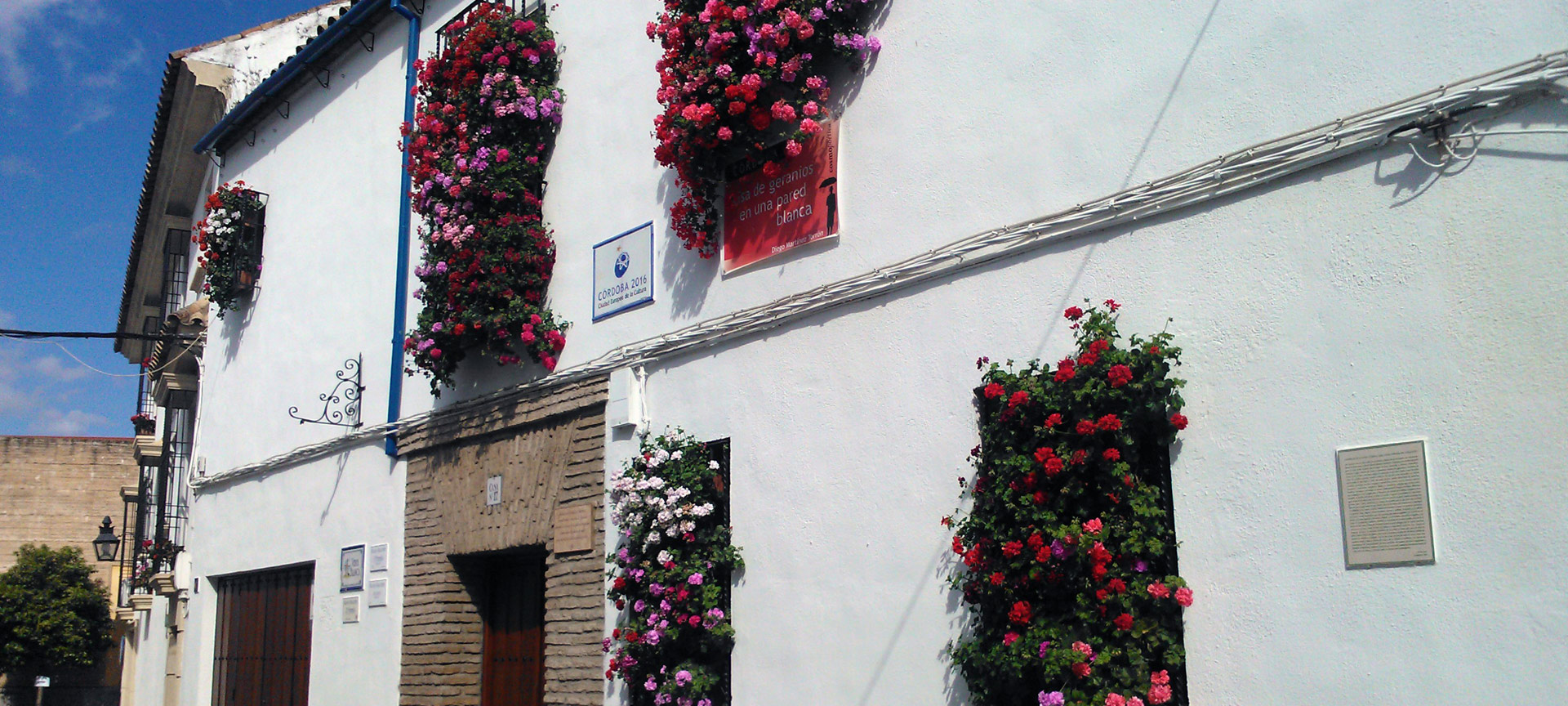 Wrought Iron Grilles and Balconies Competition in Cordoba Wrought Iron Grilles and Balconies Competition in Cordoba