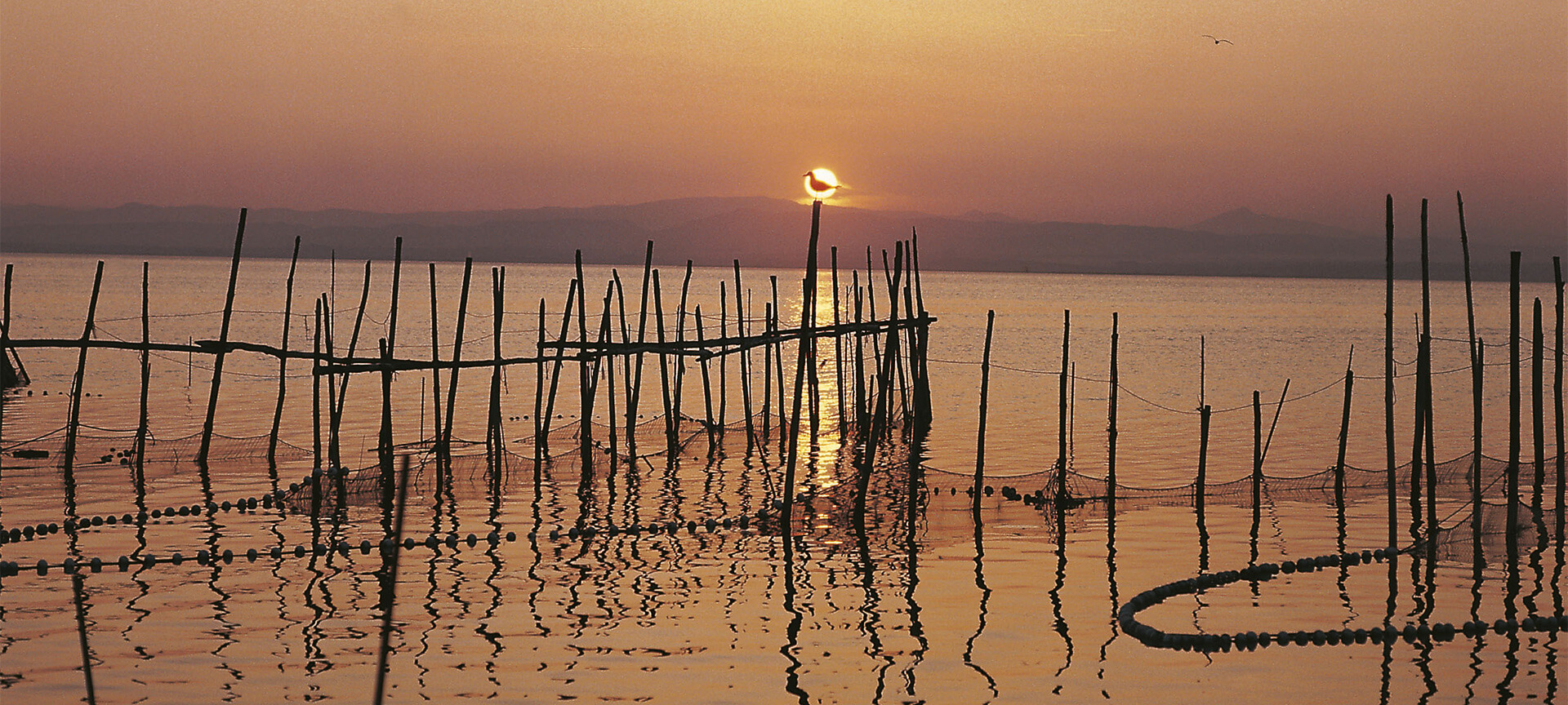 L'Albufera (Valencia) L'Albufera (Valencia)