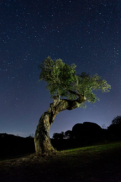 Starry skies in Spain